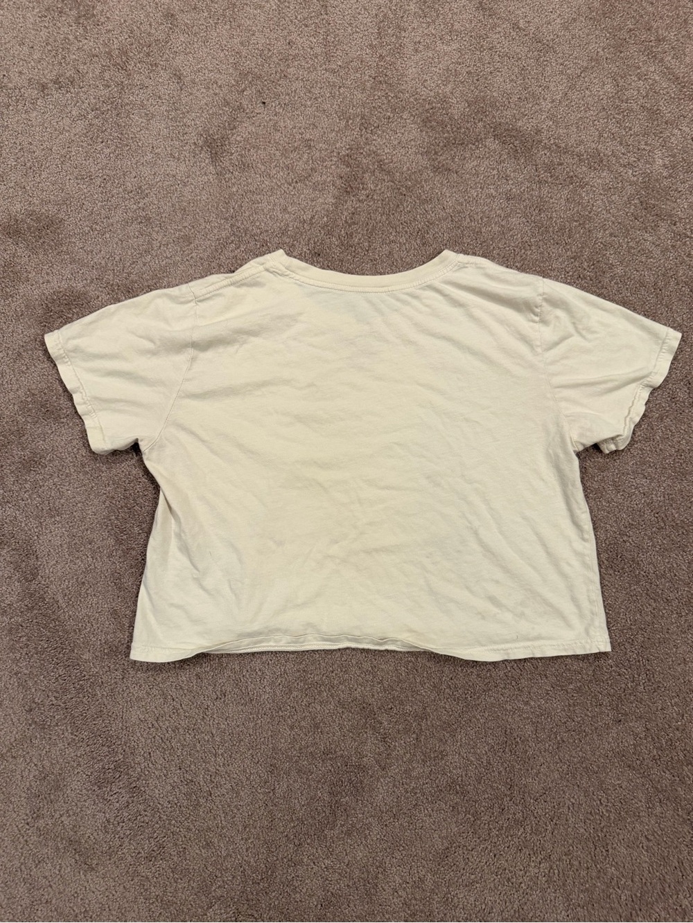 Madewell x Parks Project Joshua Tree National Park Crop Tee L - Picture 4 of 4